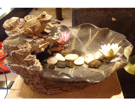 Bonsai Fountain